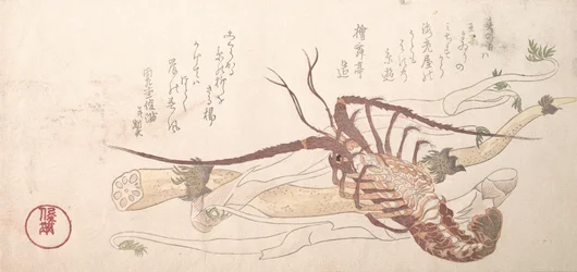 Hummer och grönsaker, 1800-talet.