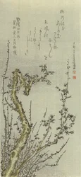 Gammalt plommonträd, 1796.
