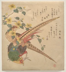 Ett par kinesiska fasaner och en gren av yamabuki-blommor