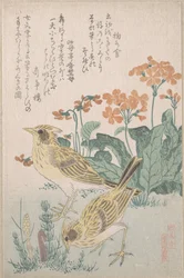 Sånglärkor och gullvivor, ur serien "En samling fåglar" (Tori awase), ur surimonoalbumet Vårregn (Harusame surimono-jō, vol. 3)