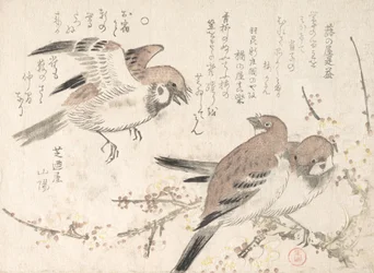 Sparvar och plommonblommor, 1800-talet.