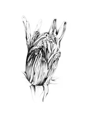 Utsmyckad botanisk hand