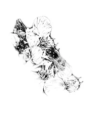 En bi bland ömtåliga blommor