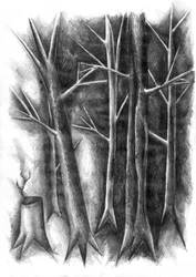 Förnyelse i den mörka skogen