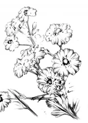 Elegant blomsterteckning