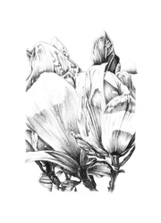 Elegant blomsterstudie