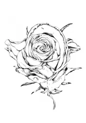 Elegant ros-teckning