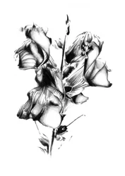 Elegant vissnad blomma
