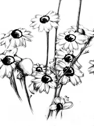 Blommig naturkonst – teckning, skiss 15