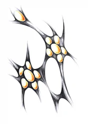 Lysande organiska former