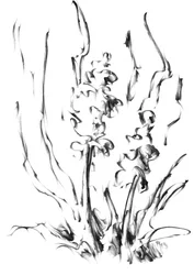 Monokrom blomsterelegans