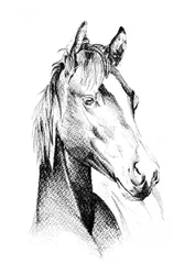Profil för Noble Horse