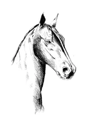 Profil för Noble Horse