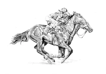 Tävlingshäst och jockey
