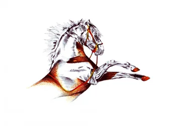 Uppfödning av White Horse