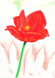 Blomma av röd krita