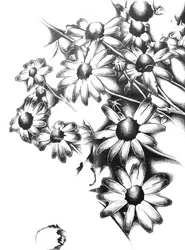 Skuggad blomsterprakt