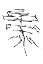 Skarpa japanska kanji