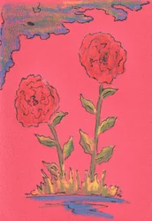 Två blommande rosor