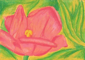 Ljusrosa blomma