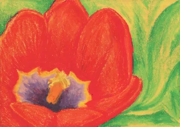 En livfull röd blomma