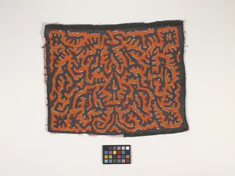 Skjortapanel (Mola) (foto)