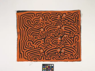 Skjortapanel (Mola) (foto)