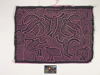 Skjortapanel (Mola) (foto)