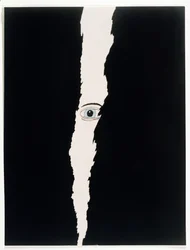 Under Surveillance, 2006 (akryl på duk)