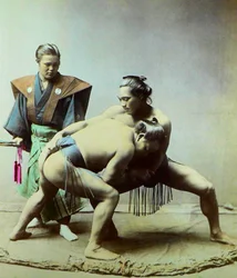 Sumobrottare, ca 1880 (foto)