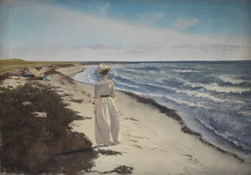 Dam vid Karrebæksminde Beach, Själland