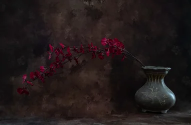 Röd blomma