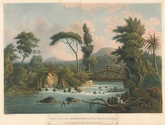 The Cabaritta River, från Six Views in the Island of Jamaica, litografi av I. Merigot