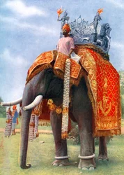 En majestätisk elefant vid Bengalens främsta festsammankomst, Indien, 1922.