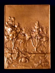 Insekter, 1911
