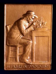 Jean Henri Fabre, fransk entomolog, 1911