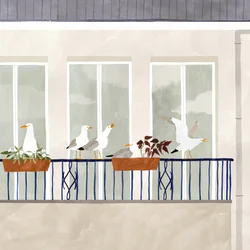 Seagull säsong, 2020