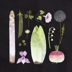 Veggies and Blooms, 2023 (digital)