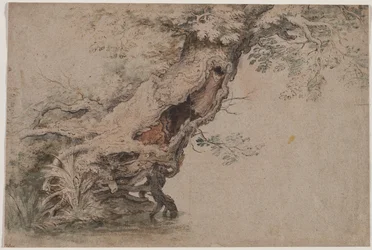 Hollow Tree, efter Roelant Savery, efter 1670.