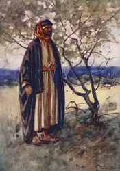 Folk i Egypten: Beduin arab, Bedawi (färglitografi)
