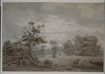 Skogslandskap från Düsseldorf