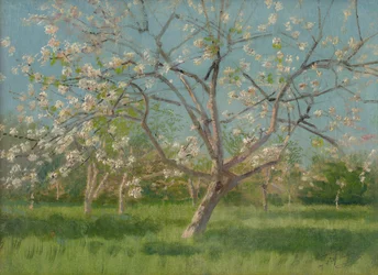 Fruktträdgårdsträd i blom, 1900-10