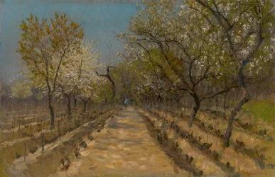 Vingård, ca 1890-95