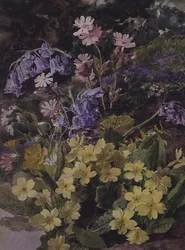 Studier av blommor