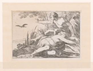 Apollo en Coronis