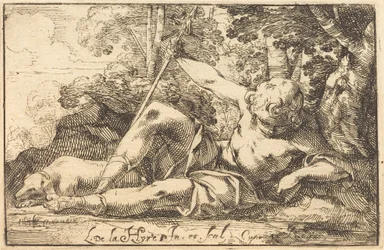 Narcissus vid våren