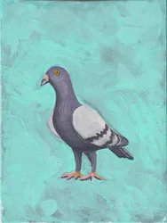 Pigeon ca 2023 (akryl på duk)