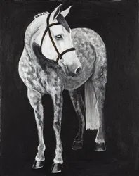White Horse 2, ca 2024 (akryl på duk)