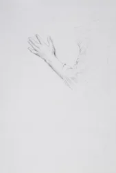 Studie av en vänster hand och arm, c.1901