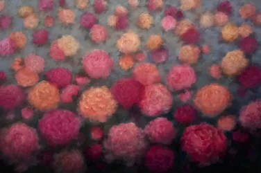 Peony Penché, 2025 (olja på duk)